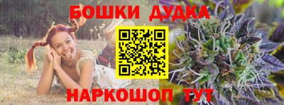 spice Кингисепп