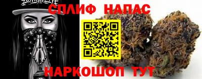 spice Кингисепп