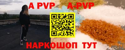 spice Кингисепп