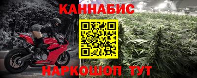 spice Кингисепп